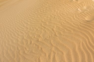 Closeup doku küçük Sahara, Güney Avustralya, beyaz kumul sisteminin