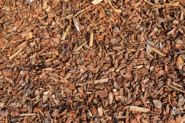 Coarse dried Pine Bark Nuggets ideal for topping garden bed clipart