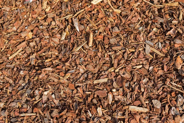 Nuggets de corteza de pino secos gruesos ideales para cubrir la cama de jardín —  Fotos de Stock