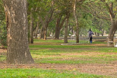 Worker watering plants, big trees in the park