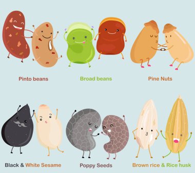 Bean, Nut, Seed - Pinto fasulyesi, Broad bean, Pine Nut, Black White Susame, Poppy Seed, Brown Rice & Rice husk. Beyaz arkaplanda izole edilmiş şirin renkli bir legume simgesi koleksiyonu
