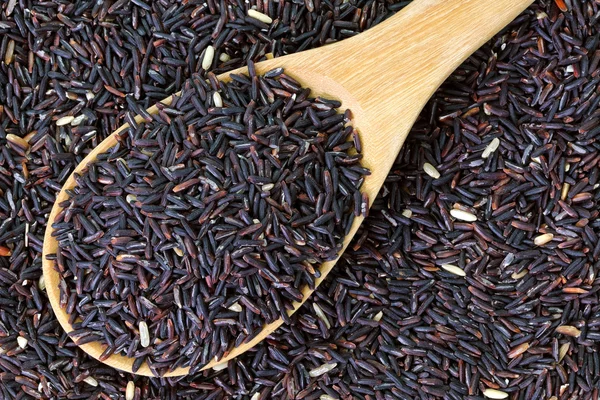 Ruwe paarse riceberry rijst — Stockfoto