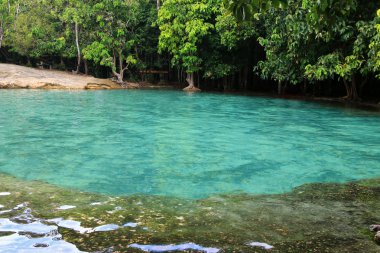 Emerald havuzda Krabi (Sa Morakot) doğal havuzda