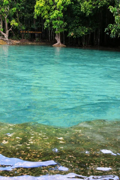 Naturalny basen w Szmaragdowego basenu (Sa Morakot) w Krabi — Zdjęcie stockowe