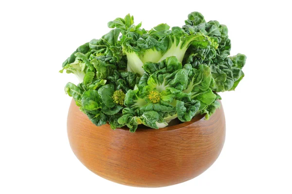 Fresh bok choy (Chinese cabbage) — Stock Photo, Image