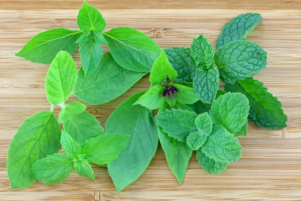 Different types of Basil and Mint leaves — Stock Photo, Image