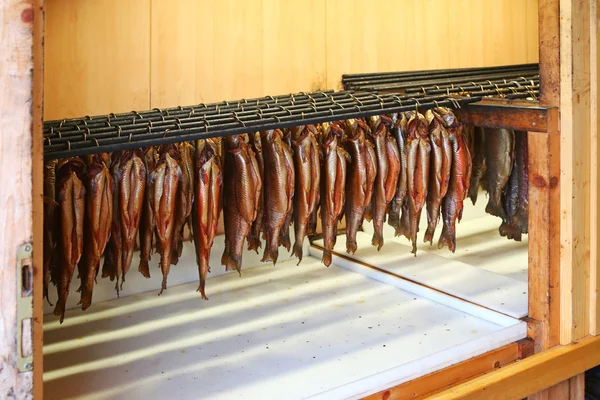 Hanging Trouts to be sent to the smokehouse — Stock Photo, Image
