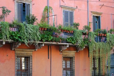 Tipik bir düzeni binaların şehirde Verona, İtalya