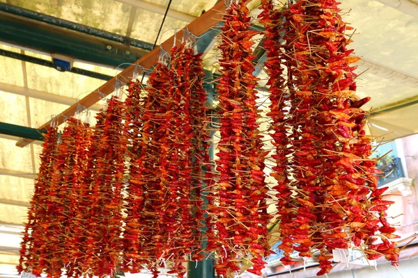 Dried red chili peppers hanging for sale — Stock Photo, Image