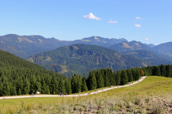 İnsanlar ve aşağı Vadisi bir sığır sürücü (Almabtrieb Festivali) sırasında Tyrol, Avusturya içinde yürüyüş inek — Stok fotoğraf