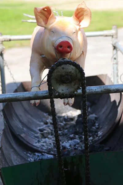 Porcs européens sur un gril de rôtisserie — Photo