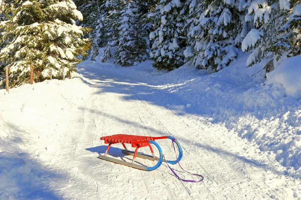 Um velho estilo Rodel (Toboggan) na floresta na Áustria — Fotografia de Stock