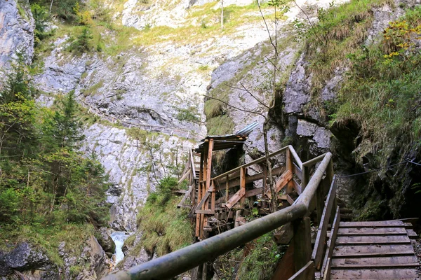Escaleras de madera unidas a las empinadas paredes rocosas en Wolfsklamm Gorge —  Fotos de Stock