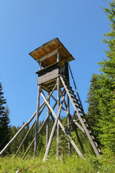 Plataforma de madeira elevada conhecida como suporte de árvore ou carrinho de veado — Fotografia de Stock