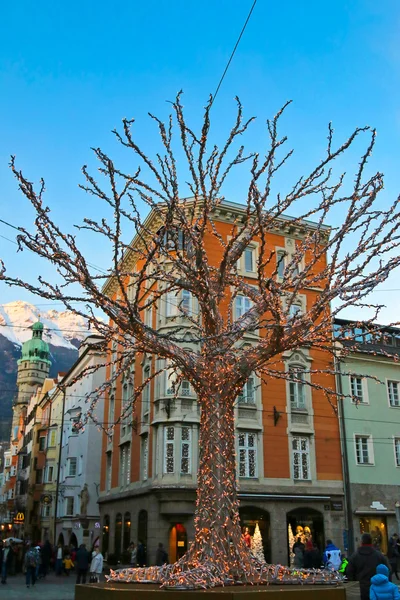 Большое дерево, украшенное волшебными огнями в Инсбруке, Австрия во время Рождества — стоковое фото