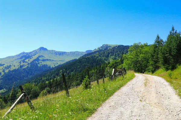 Пешеходная дорожка вдоль зеленого лугового поля и горы в Тироле, Австрия — стоковое фото
