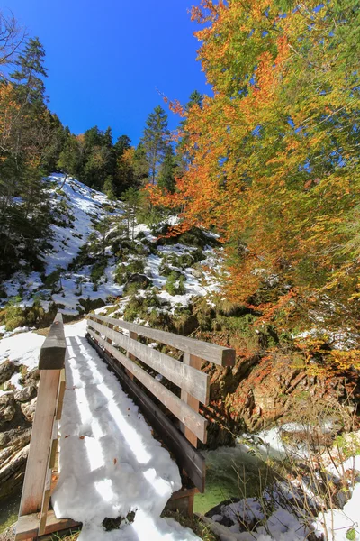 Dřevěný most a lesem pokryté sněhem během podzimu — Stock fotografie