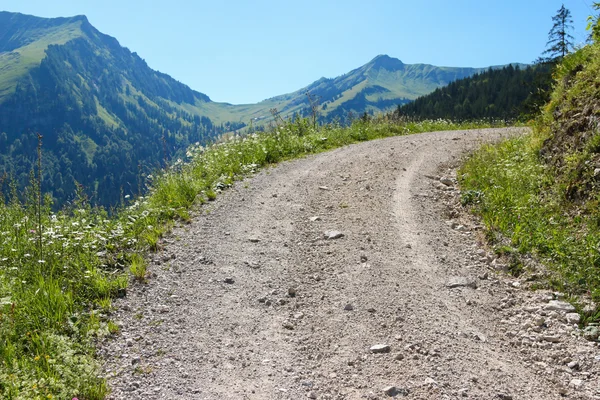 Hiking path way along the wildflower meadow field and mountai — Stock Photo, Image