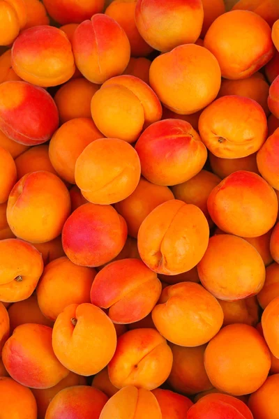 刚收获成熟杏子在欧洲 — 图库照片