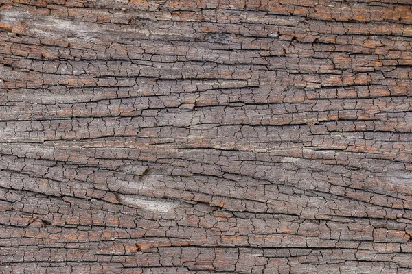 Texture of old cracked wooden plank — Stock Photo, Image