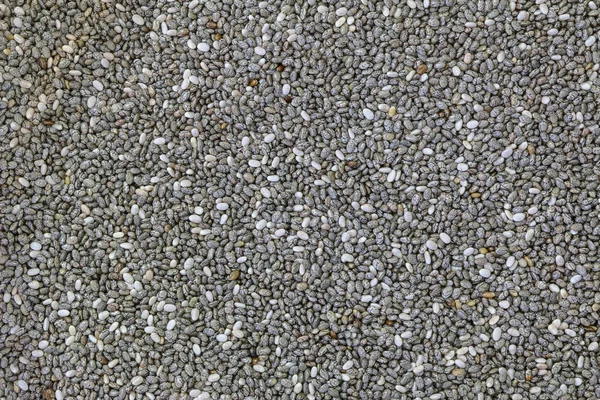 Dried Chia seeds (Salvia hispanica) — Stock Photo, Image