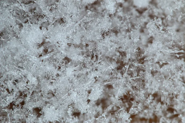 フィールドの浅い深さで雪片 — ストック写真