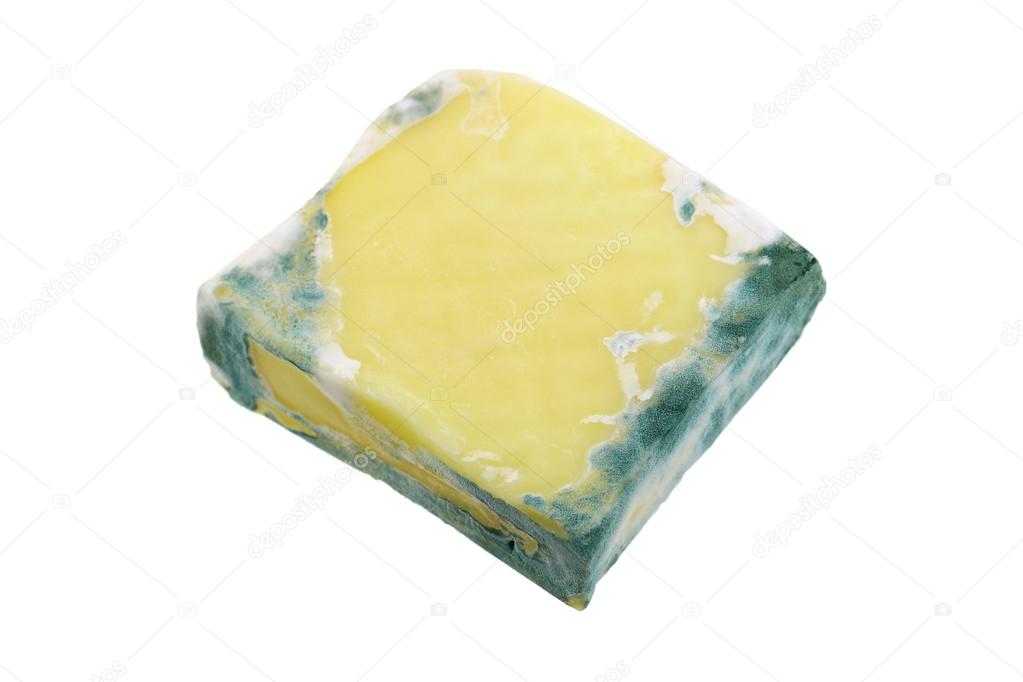 Block of Cheese with green mold on the border