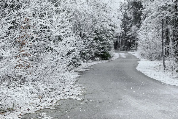 Arbres couverts de givre givré rime glace le long de la route sinueuse — Photo