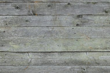 Rustik yıpranmış ahır ahşap görünür yeşil tonlarında