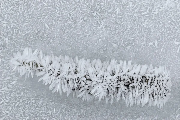 Ice crystals forming on a piece of wood and the surface of froze — Stock Photo, Image