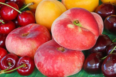 Satürn şeftali (düz Donut şeftali), kayısı, vahşi ve karanlık cherr