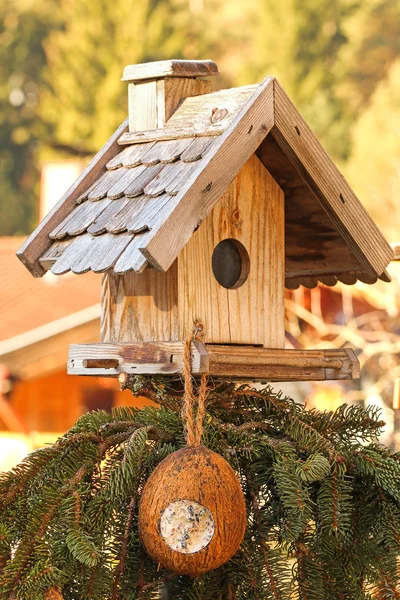 Alimentador de pássaros de madeira com um suet de casca de coco trata pendurado — Fotografia de Stock