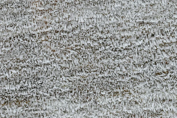 Texture foto di legno fienile coperto con piccoli cristalli di ghiaccio bianchi — Foto Stock