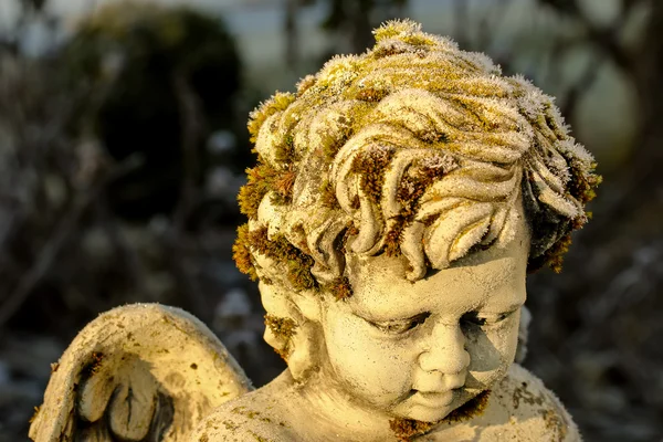 Ice crystals forming on green moss on a cute stone angel sculptu — Stock Photo, Image
