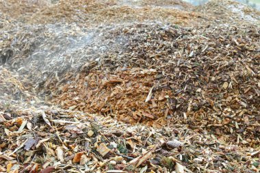 Bölge sistem Isıtma için ısı üretmek için adet çam ağacı yongaları yandı