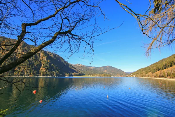 Dzień dobry pogoda z niebieski niebo nad brzegiem jeziora Achensee zimą — Zdjęcie stockowe