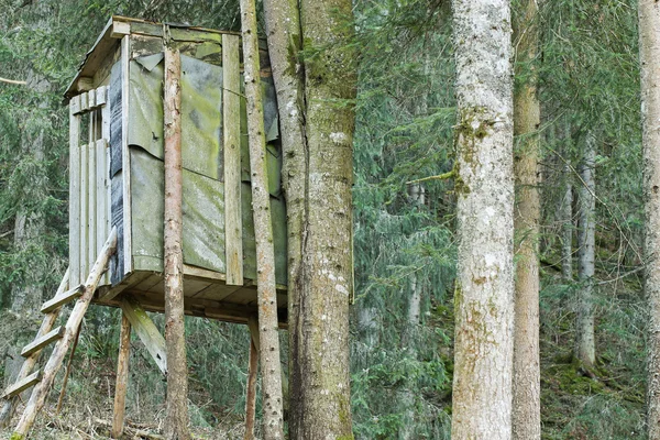 Uma plataforma de madeira elevada conhecida como suporte de árvore ou suporte de veado — Fotografia de Stock