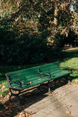 Two green benches sit quietly in a shaded area, surrounded by trees and soft grass, perfect for resting on a sunny day.