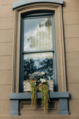 A charming window with a planter full of green succulents welcomes passersby in an urban neighborhood.