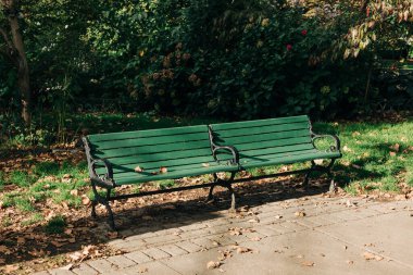 A green metal bench sits empty in a peaceful park, surrounded by colorful autumn leaves and trees.