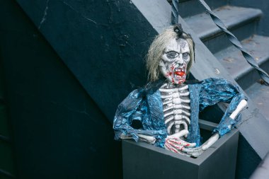 Vahşi saçlı ve boyalı yüzlü ürkütücü bir iskelet gölgeli merdivenlerin yanındaki saksıda duruyor ve Cadılar Bayramı atmosferini arttırıyor..