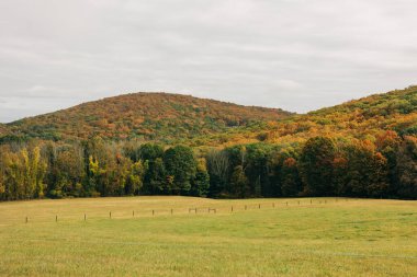 Scenic view shows vibrant fall foliage across hills under a cloudy sky in a peaceful rural area.