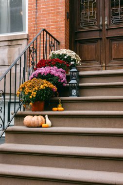 Canlı saksılar, sonbaharın renklerine ve cazibesine dikkat çekerek, rahat bir kahverengi taşın basamaklarını süslüyor..
