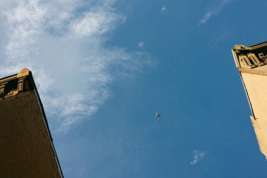 Parlak güneş ışığı altındaki tarihi binalar tarafından çerçevelenmiş bir uçak berrak mavi gökyüzünde süzülüyor..