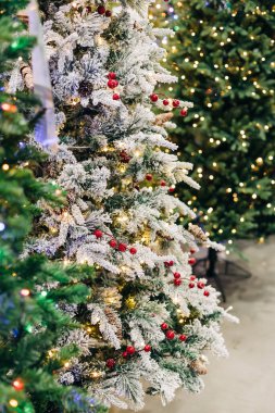 Sıcak bir tatil ortamında kırmızı böğürtlenler ve parıldayan ışıklarla süslenmiş buzlu Noel ağacı..