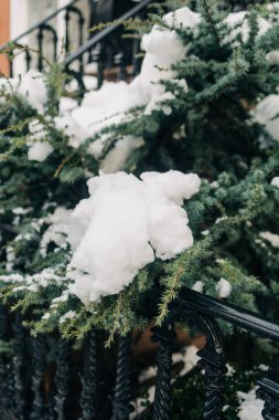 Beyaz karla kaplanmış Evergreen dalları bir evin dışında sakin bir kış manzarası yaratır..