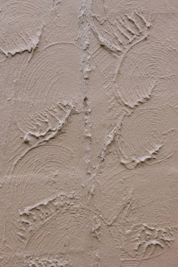 Dekoratif duvar, kıvrımlı desenler ve iyi ışıklandırılmış bir alandaki desenli alçıdan yapılmış yaprak şekilleri içerir..