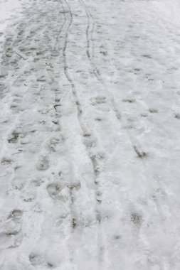 Kar, kış sabahı bir parkta insanların ve hayvanların izlerini taşıyarak zemini kaplıyor..