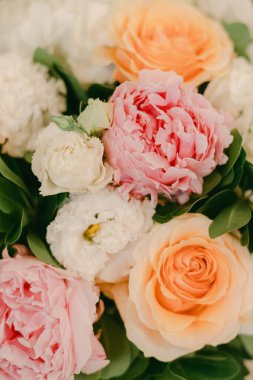 Parlak çiçekler, etraflarında yeşil yapraklar bulunan pembe, beyaz ve turuncu renkler sergilenir..