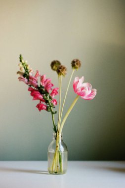 Parlak çiçekler masanın üzerindeki cam bir vazoda düzenlenir. Yumuşak bir ışıkla düz bir duvara karşı sergileniyorlar..